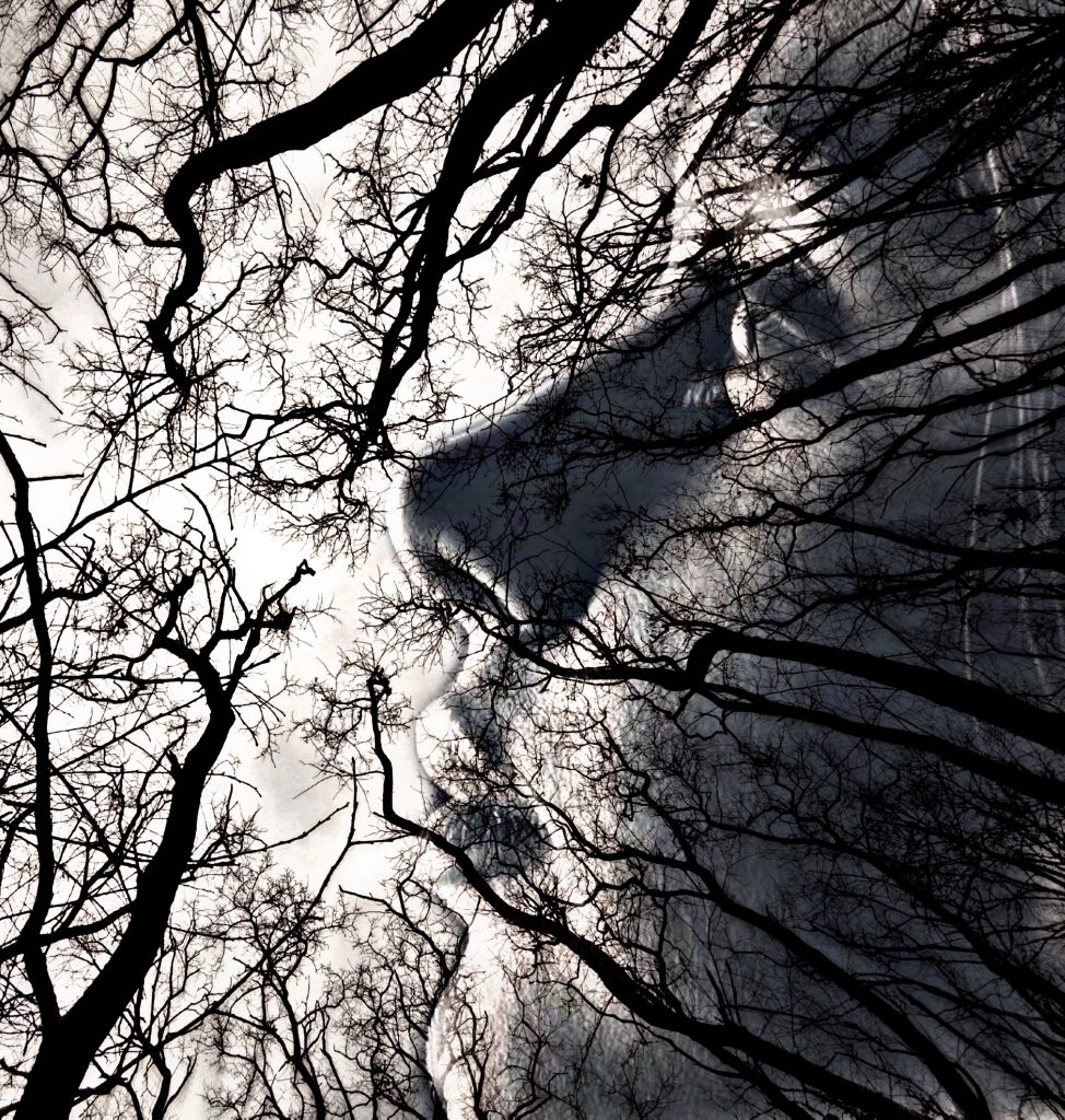 An image of a woman and tree branches juxtaposed