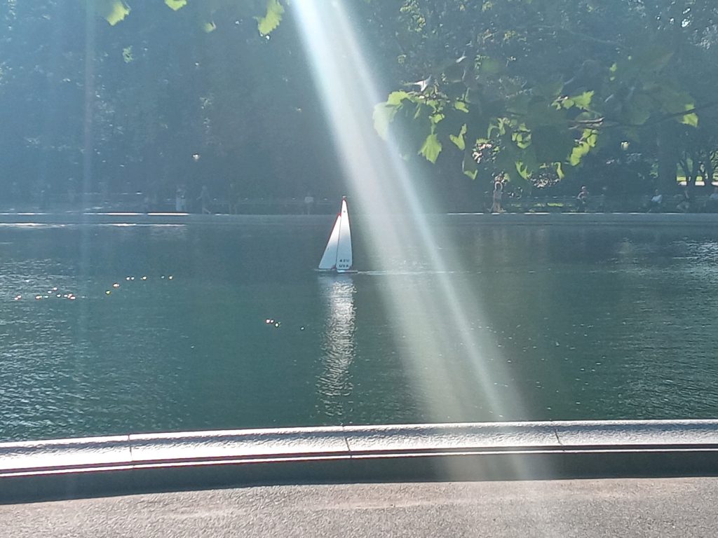 Distanced Boat, Central Park NYC  by  Larisa Dadacay 