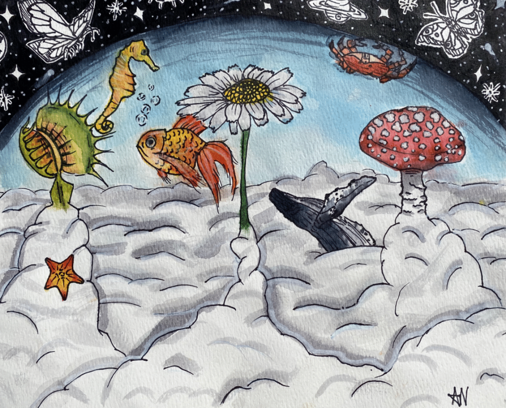 Sea creatures, a mushroom and flower are above clouds