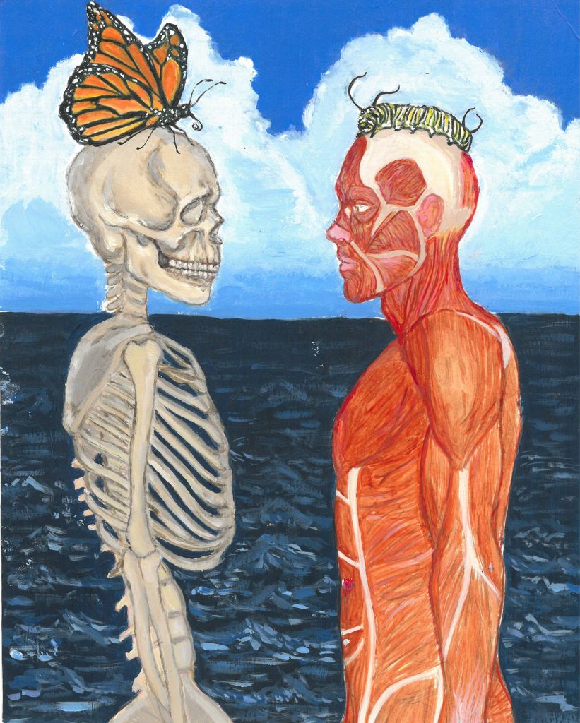 One skeleton and one muscle-human are looking at each other