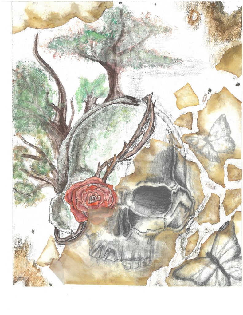 A skeleton whose one eye socket is covered by a red rose