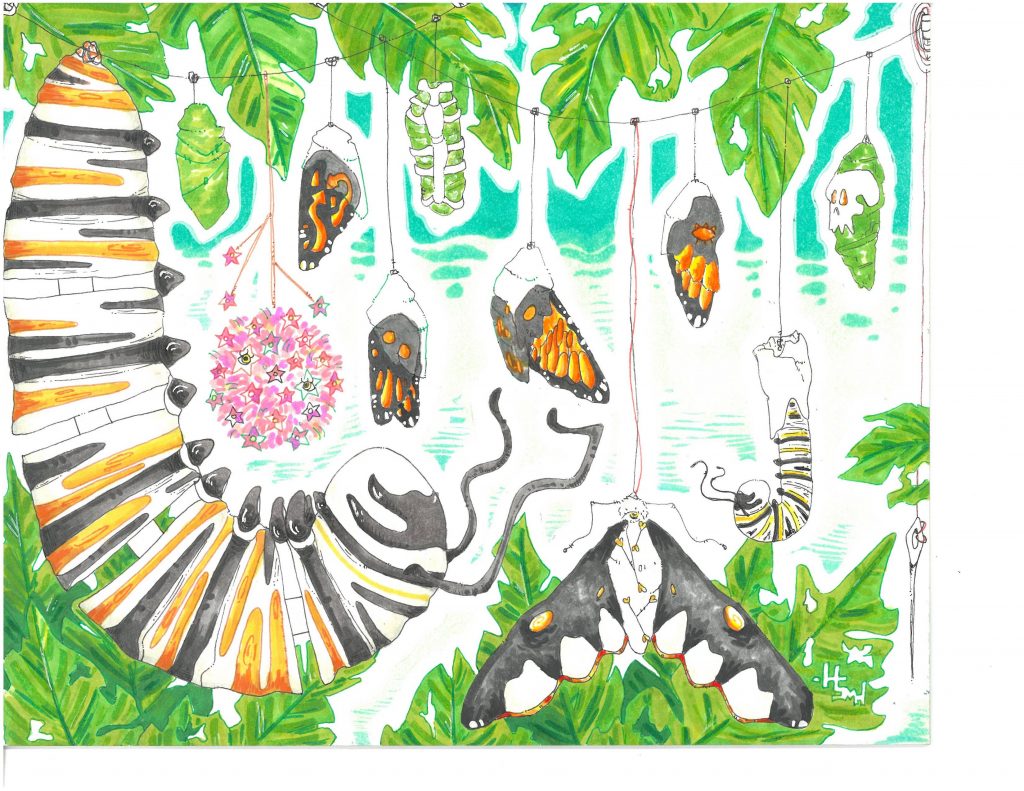 Drawing of butterflies and caterpillars hanging from a string. Surrounded by leaves.