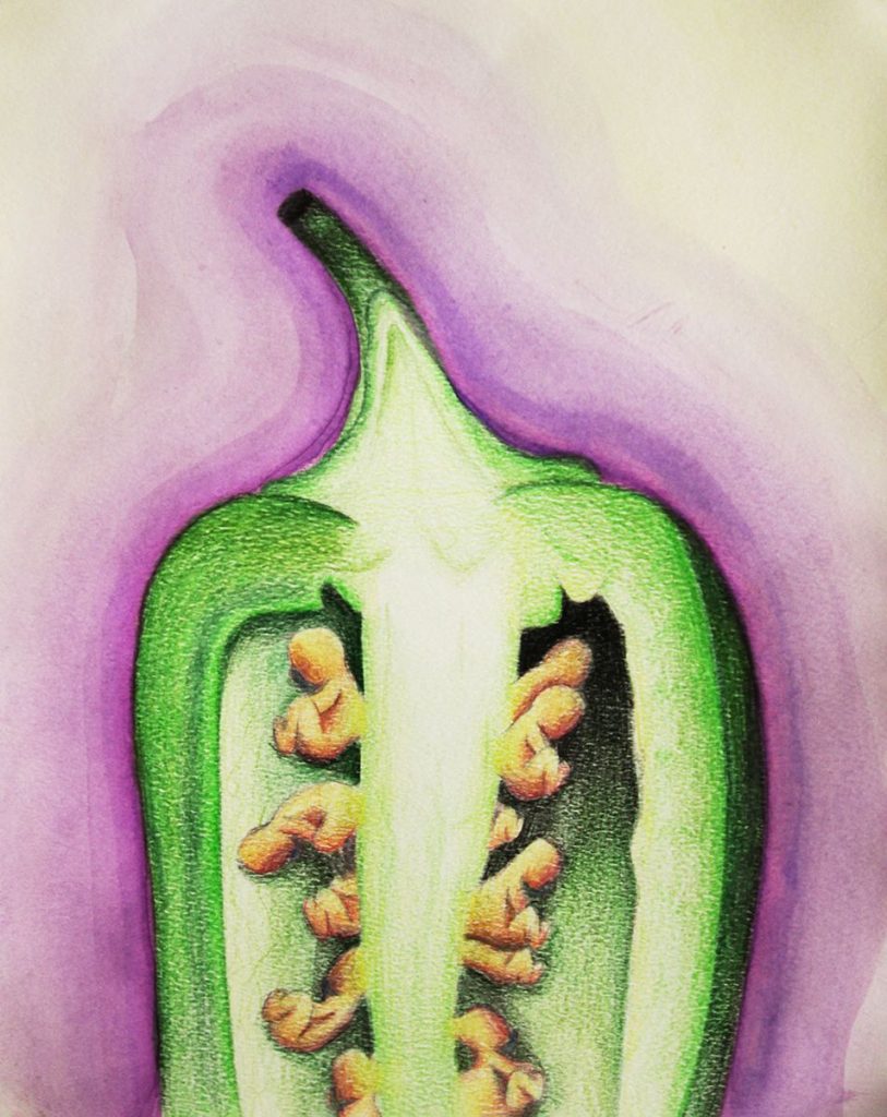 A green pepper with fetus seeds