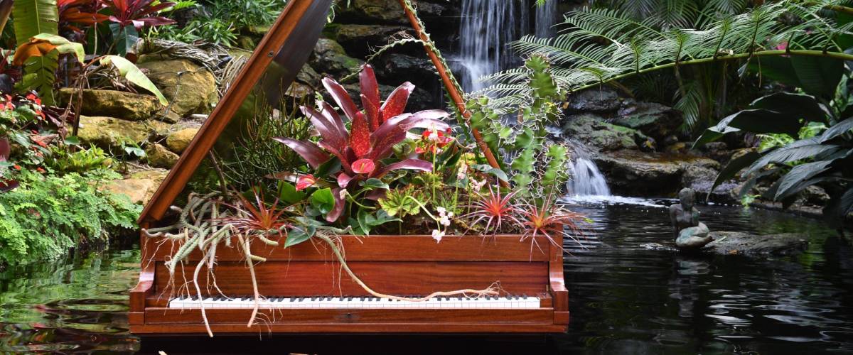 a piano with plants in it