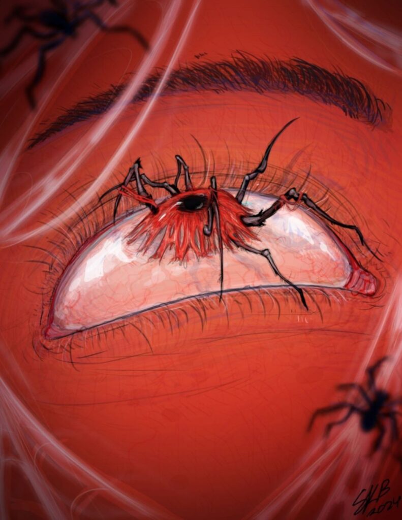 Spider Eye by Sarah Brunner