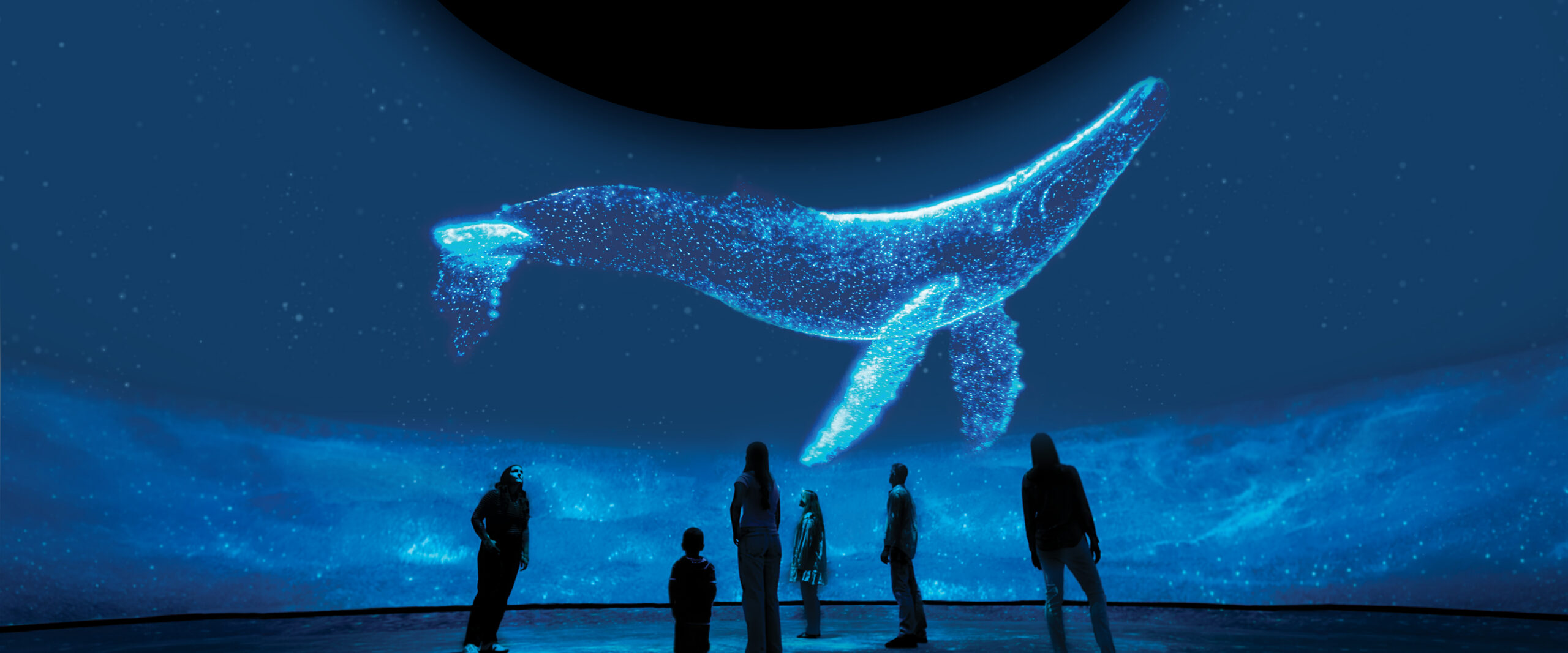 Visitors view a glowing whale projection inside The Dalí Dome.