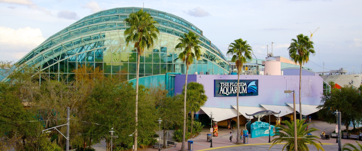 Dalí Museum Members Receive Free Florida Aquarium Admission in October
